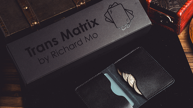 Transparent Matrix (Half Dollar) 2024 by Richard Mo