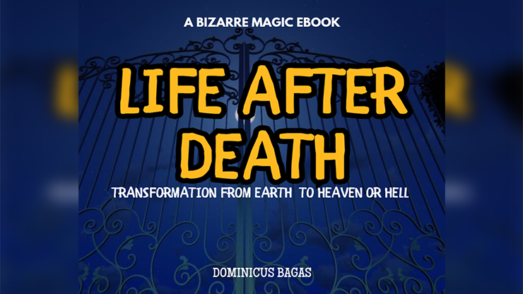 Life After Death by Dominicus Bagas - ebook