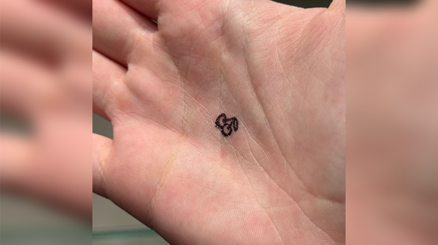 Cherries Stamp for Double Cross By Magic Smith X Magic Dream