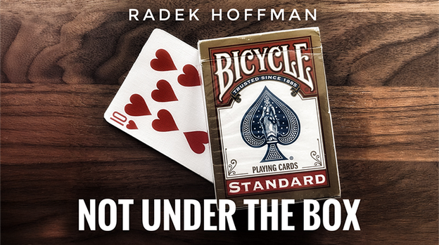 Not Under the Box by Radek Hoffman - Video Download