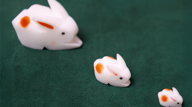 The Bunnies! 3D Rabbits (Parents, Kids & Grandpa)