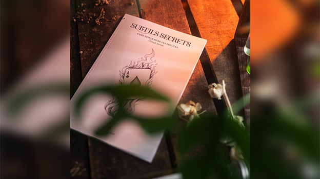 Subtle Secrets 1 by Thibault Ternon