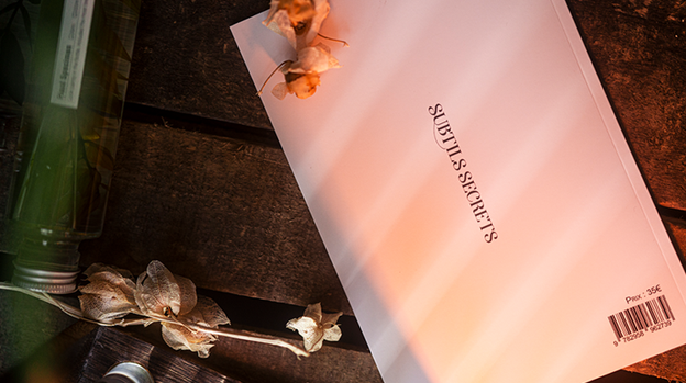 Subtle Secrets 1 by Thibault Ternon