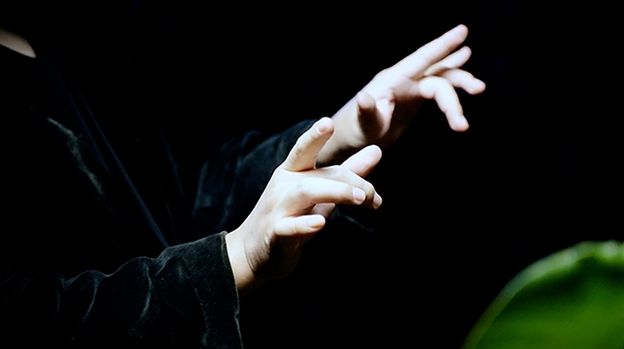 Double Production by Bojan Barisic and Stage Elegance