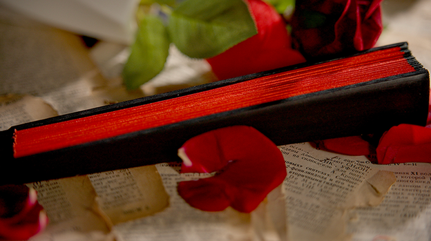 The Butterfly by K.Pen & TCC Magic