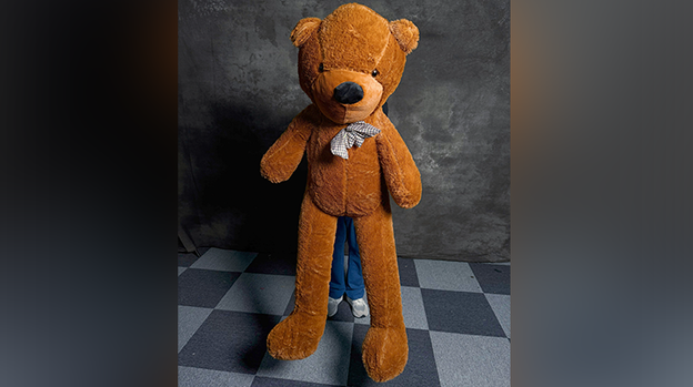 Teddy Bear Appearance (Large) by MS Magic