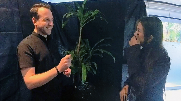 Echo Book Test by Vincent Hedan (Hypnosis)