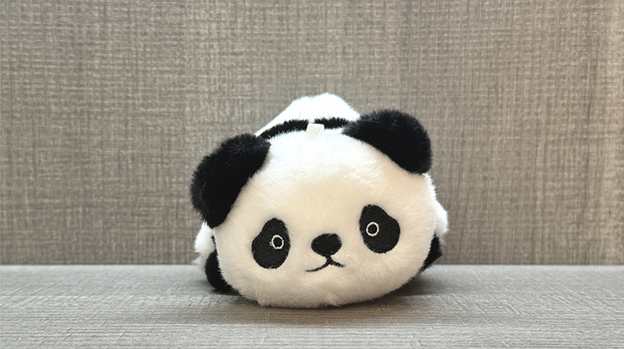 Morphing Plush (Panda to Raccoon) by Jackie Zhao and JT Magic