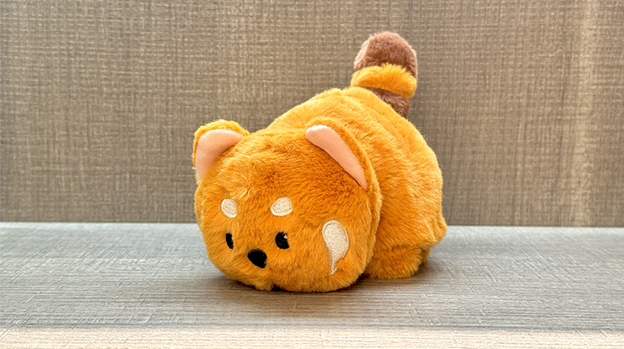 Morphing Plush (Panda to Raccoon) by Jackie Zhao and JT Magic