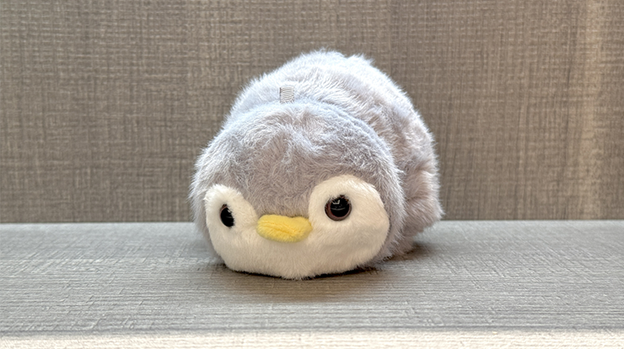 Morphing Plush (Panda to Penguin Grey) by Jackie Zhao and JT Magic