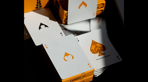 ACE FULTON'S CASINO V3 PLAYING CARDS
