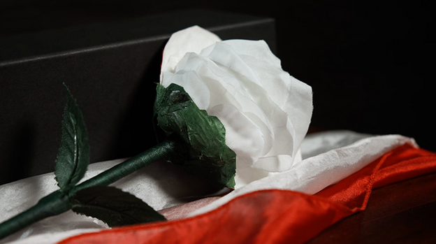 Fantasy Rose by Leon, Bond Lee & MS Magic