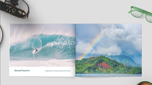 Zandman's Hawaii