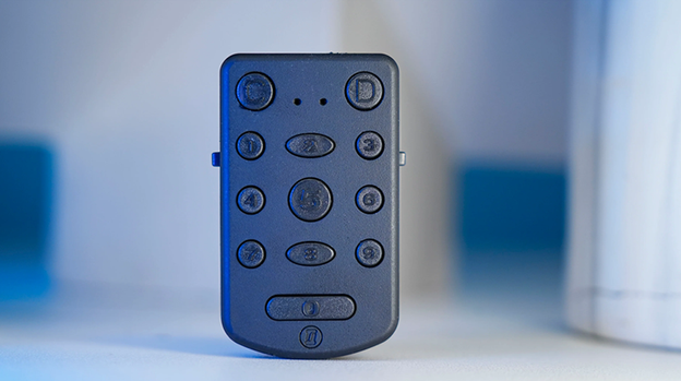PITATA Palm Remote