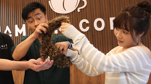 Tricky Raccoon by Liang Kuai & Amor Magic