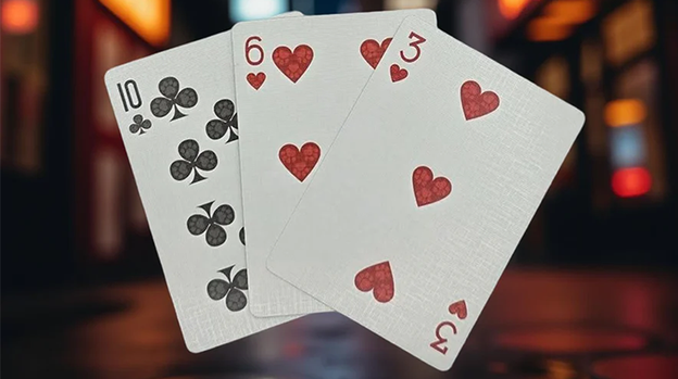 Biker Dogs Playing Cards by Collectable Playing Cards
