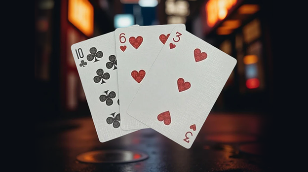 Biker Cats Playing Cards by Collectable Playing Cards
