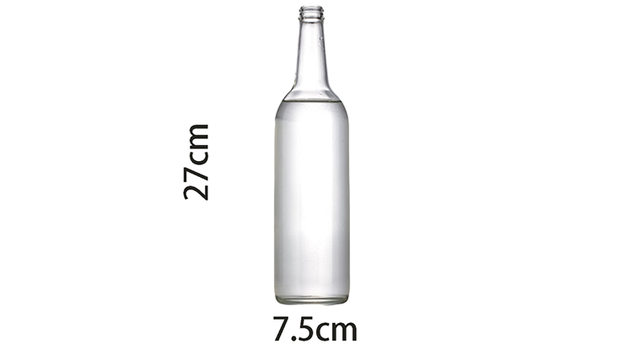Self Exploding Transparent Beer Bottle (Large) by Wance