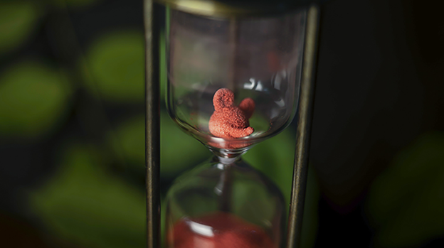 TIME by Yoan TANUJI & Magic Dream