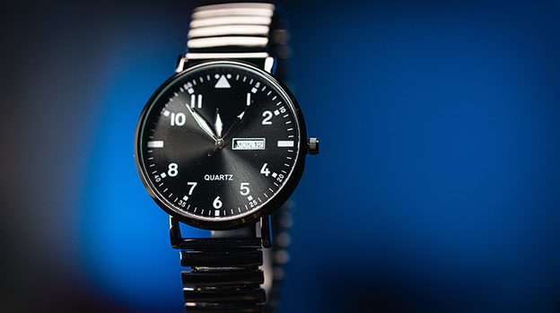 Standard R.W.W. Left Hand (Ben Seidman's Ring Watch Wonder)