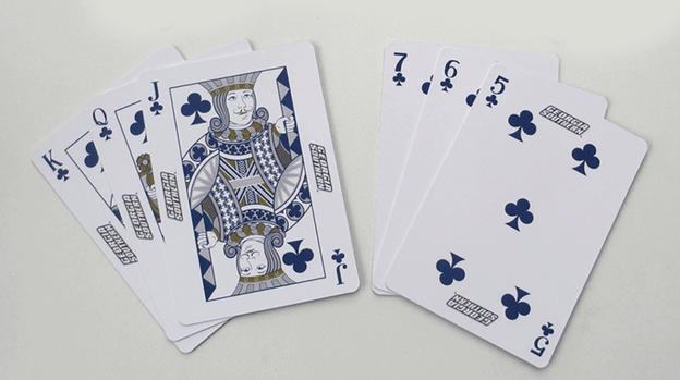 Georgia Southern Playing Cards