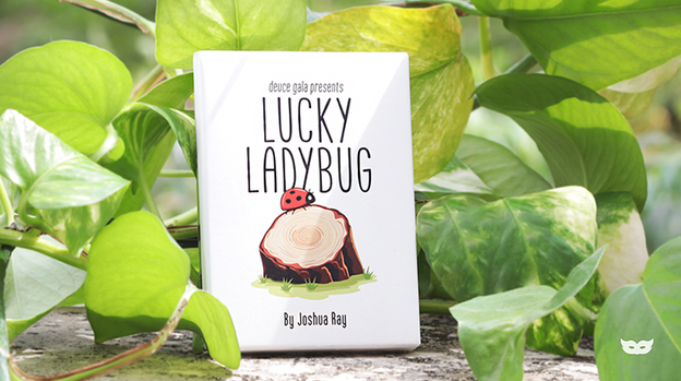 Lucky Ladybug (Leaf) by Joshua Ray & Deuce Gala Magic
