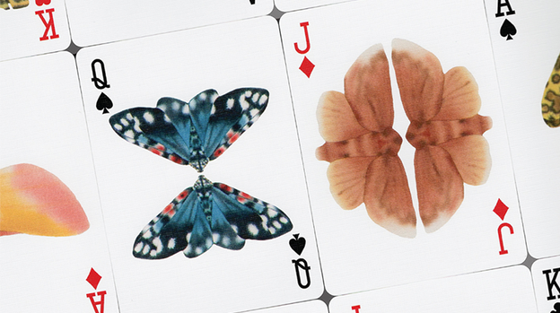 MOTHS (Stripe Edition) by Matthew Palladino