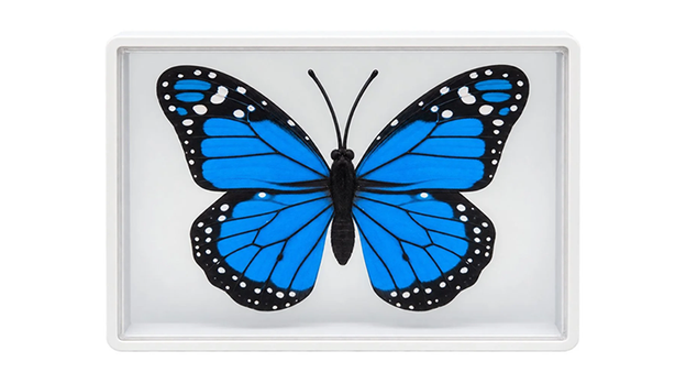 Omni Butterfly by Hyde Ren & Bacon Magic