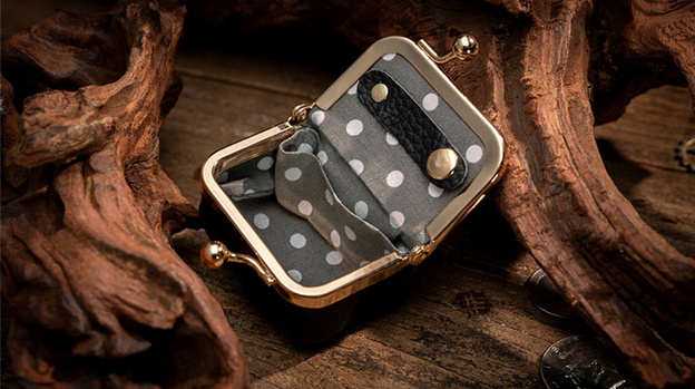 Coin Bag by TCC Magic