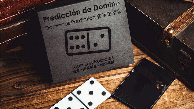 Dominoes Prediction by Juan Luis Rubiales
