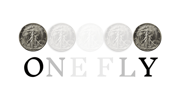 OneFly by Pieter Hofstra - Video Download