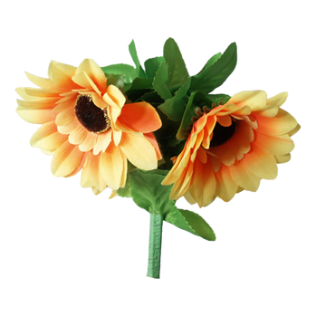 Amazing Split Sunflower by Premium Magic - Trick