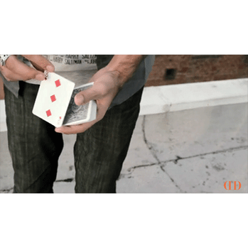 Monet by Alex Pandrea - Video Download