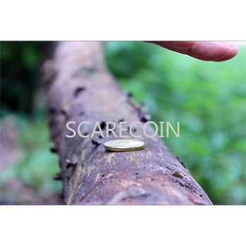 Scare Coin by Arnel Renegado - - Video Download