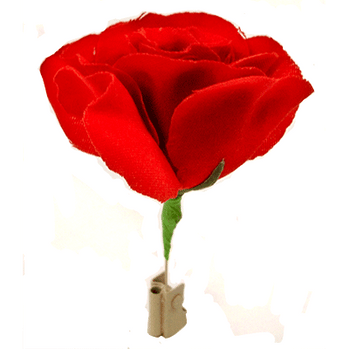 Match to Rose by Mr. Magic - Trick