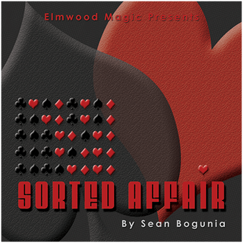 Sorted Affair (2013) by Sean Bogunia